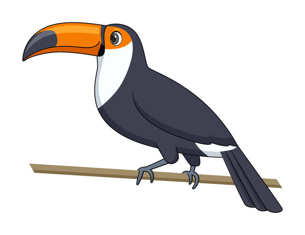 Uccello tucano su sfondo bianco. Illustrazione vettoriale stile cartone animato - Vettoriali, immagini