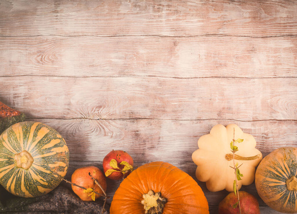 Autumn thanksgiving halloween background - Photo, Image