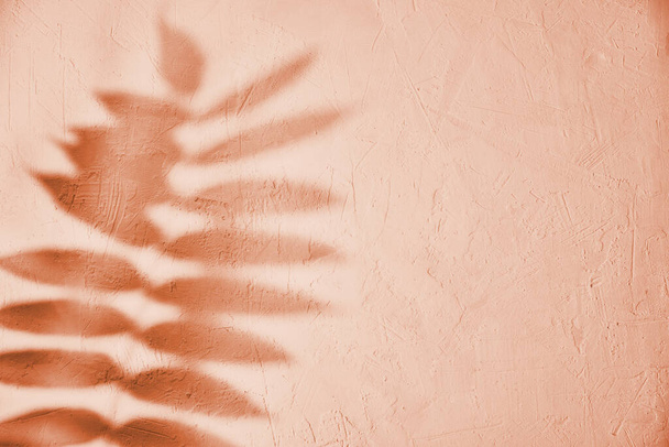 Leaf shadow on pink background. Creative abstract background. Nature shadow pattern - Zdjęcie, obraz
