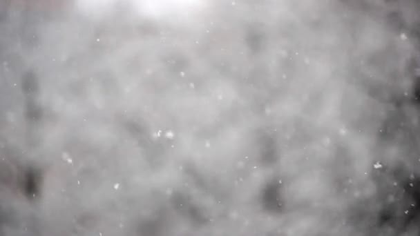 Winterlicher Schneefall. Schnee Zeitlupe gefilmt mit 50fps im Freien auf natürlichem Hintergrund. Schneetreiben an einem verschneiten Wintertag. - Filmmaterial, Video