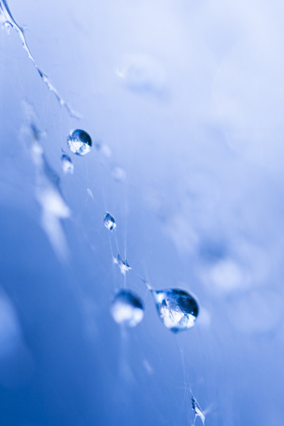 Абстрактный состав с капельками воды, паутиной и боке
 - Фото, изображение
