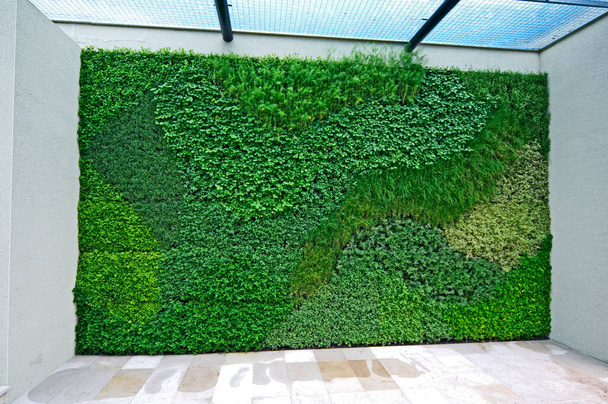 Mur vertical aux herbes faisant une entrée attrayante et unique - Photo, image