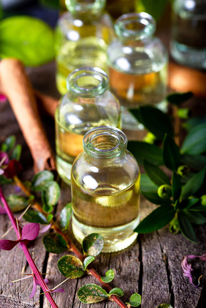 Suszone zioła z olejkami eterycznymi do aromaterapii. - Zdjęcie, obraz