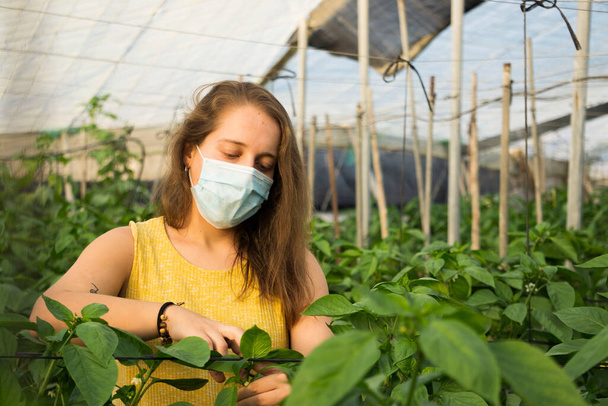 mujer en un invernadero con máscara - Foto, Imagen