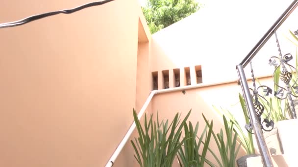 Plantes vertes dans le jardin de la maison et les escaliers et monter lentement - Séquence, vidéo