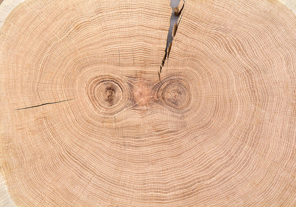 Texture de bois de chêne, fond brun. - Photo, image