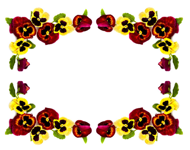 Frame of pansies on a white background with space for text. Top view, flat lay - Photo, Image
