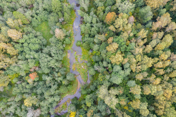 Вид зверху вниз на звивисту річку, що протікає через зелений ліс
 - Фото, зображення