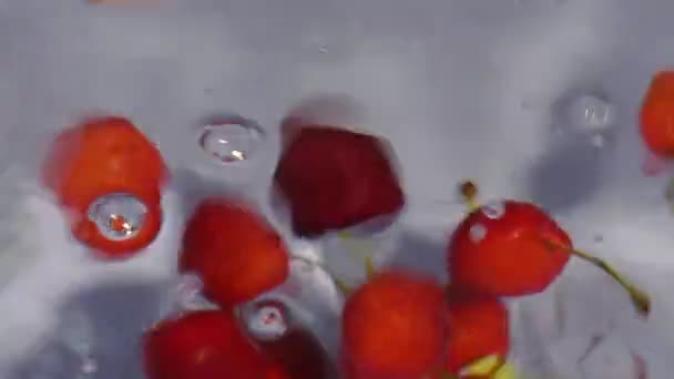 Cerezas mezcladas en agua y burbujas en la superficie de la misma - Imágenes, Vídeo