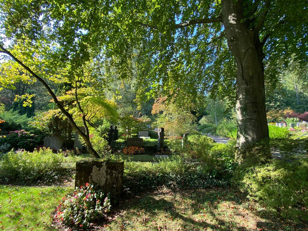 Park at the cemetery Fluntern or Graveyard Fluntern / Der Friedhof Fluntern, Zurichberg (Zuerichberg) district - Zurich (Zuerich), Switzerland / Schweiz - Фото, изображение