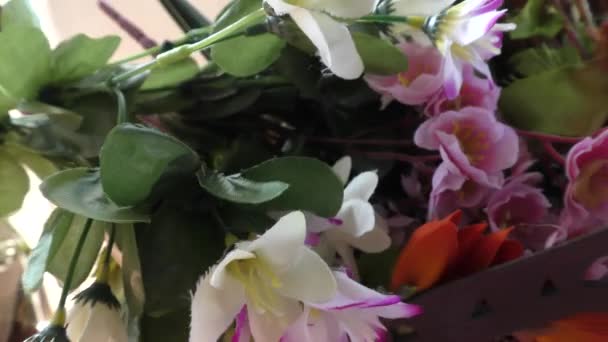 Színes művirágok a teraszon kert zöld levelek - Felvétel, videó