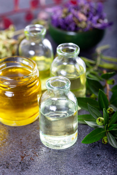 Herbes séchées aux huiles essentielles pour le traitement d'aromathérapie. - Photo, image