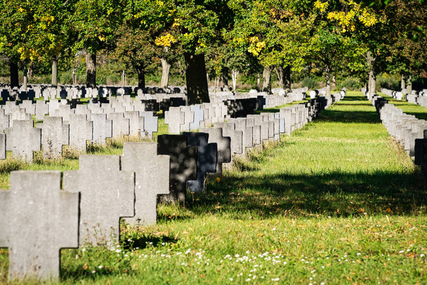War Grave, cemetery of wordl war II at Zentralfriedhof in Vienna - Photo, image