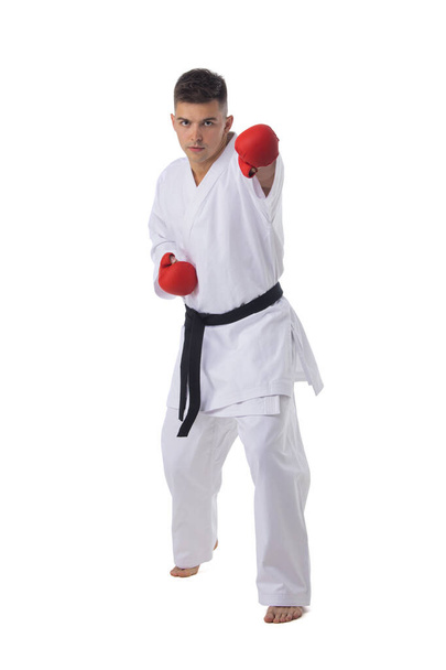 Man fighter training taekwondo isolated on white background - Fotoğraf, Görsel
