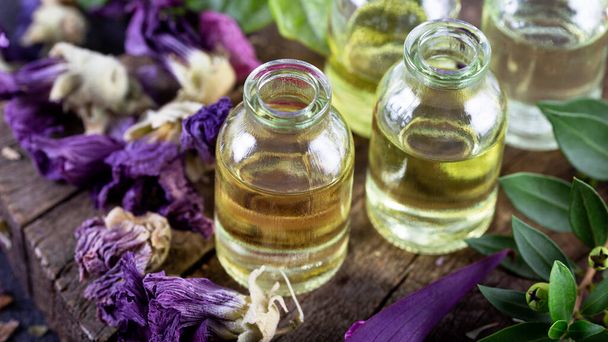 Une bouteille d'huile essentielle de mauve commune aux fleurs séchées. Herbes séchées aux huiles essentielles pour le traitement d'aromathérapie.  - Photo, image