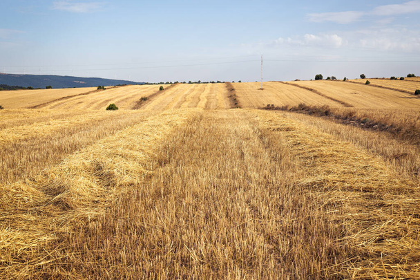 Campos de trigo em Teruel, Espanha - Foto, Imagem