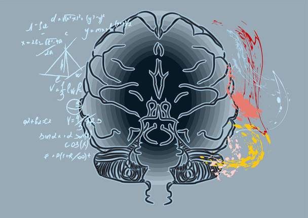 Concepto creativo del cerebro humano, ilustración vectorial - Vector, Imagen
