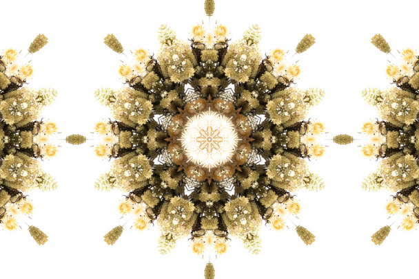 abstracto hermoso patrón floral sin costuras de flores y hojas  - Foto, imagen