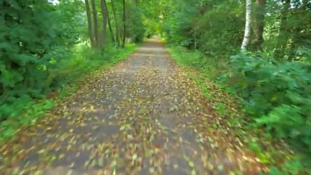 Lovagolni az erdei ösvényen kora ősszel. POV az akció kamerán keresztül. Koncepció Kaland Aktív Életmód Sport. Első szemszögből nézve. - Felvétel, videó