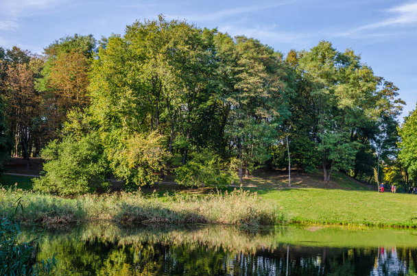 Miejski park w ciepły i słoneczny dzień w jesienny sezon. Krajobraz spełniony przez światło słoneczne - Zdjęcie, obraz