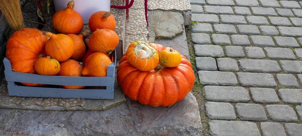 Abóboras laranja de vários tamanhos encontram-se no alpendre da casa.O conceito de Halloween. - Foto, Imagem