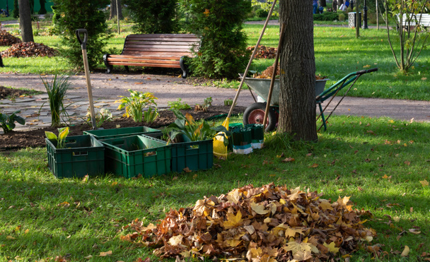 Візок, граблі, контейнери з розсадою. Осіннє прибирання листя в парку
. - Фото, зображення