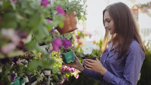 Νεαρή γυναίκα αγοράζει λουλούδια σε ένα κατάστημα κήπο - Πλάνα, βίντεο