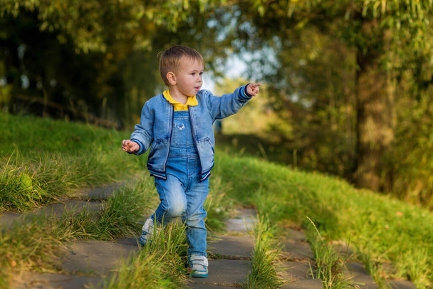 Pieni poika menee alas rappusia puistossa eräänä kesäiltana - Valokuva, kuva