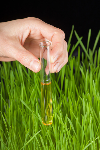 Hand with a test tube and grass. Fertilizer - Φωτογραφία, εικόνα