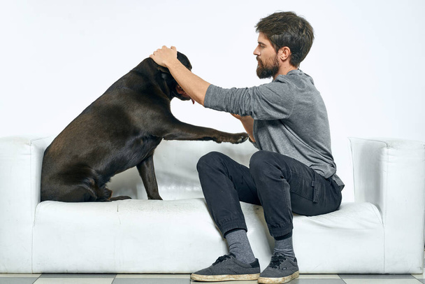 el propietario juega con el perro en un sofá blanco En una habitación luminosa divertido primer plano vista amigos mascota - Foto, imagen