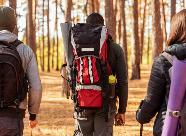 A fenyőerdő mellett sétáló három hátizsák közelsége - Fotó, kép