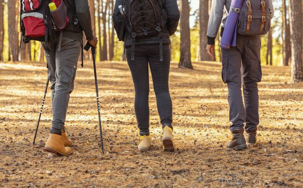Ноги туристов, идущих по лесу, обрезанные - Фото, изображение