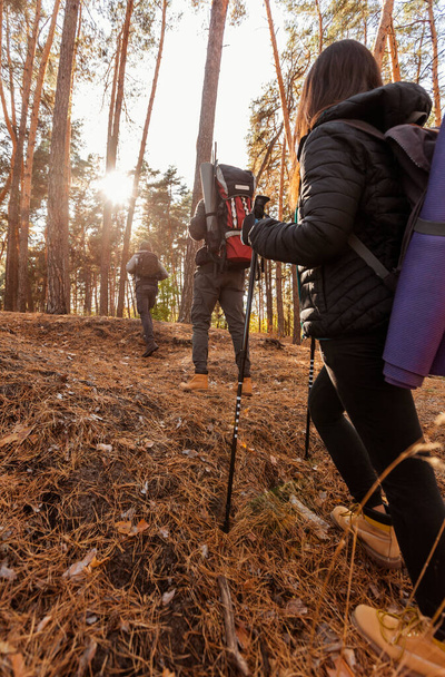 Három felismerhetetlen túrázók séta a nap felé, túrázás az erdőben - Fotó, kép