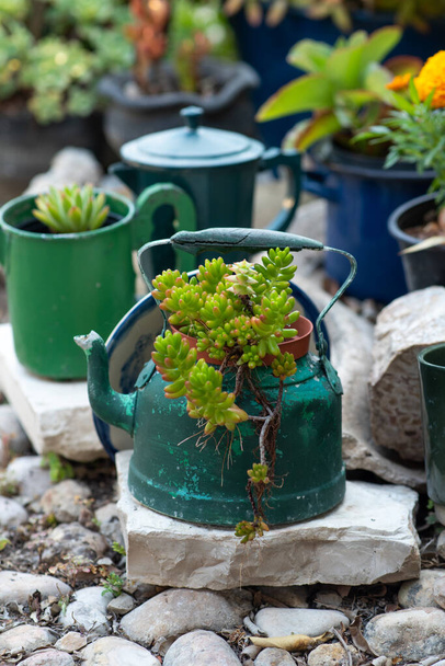 Reused planter ideas. Second-hand kettles, saucepans, old teapots turn into garden flower pots. Recycled garden design and low-waste lifestyle. - Photo, Image
