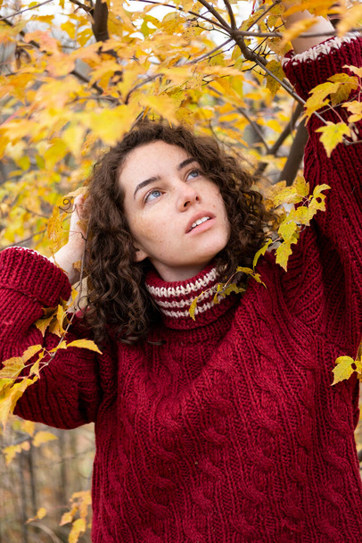 Girl in a warm sweater in an autumn park - Photo, Image