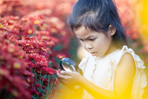 Schattig aziatisch kind meisje op zoek naar mooie bloem door een vergrootglas in het bloemenveld - Foto, afbeelding