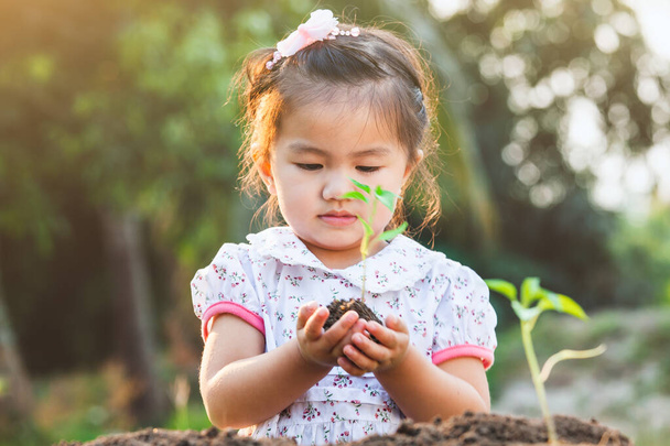Carino asiatico bambino ragazza holding giovane albero per piantare in il nero terreno in il giardino con divertimento - Foto, immagini