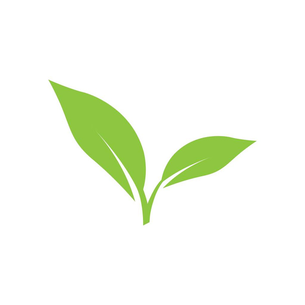 дизайн рисунка логотипа листа - Вектор,изображение