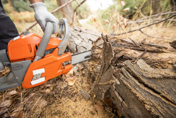 A closeup of a lumberjack with a chainsaw in a forest - Foto, Imagem