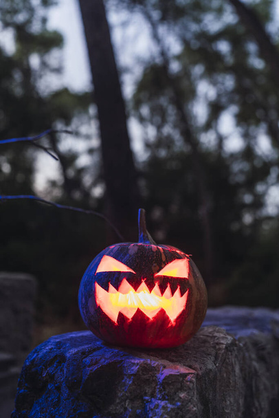 A Halloween pumpkin with a scary face on a rock in a forest - Foto, immagini