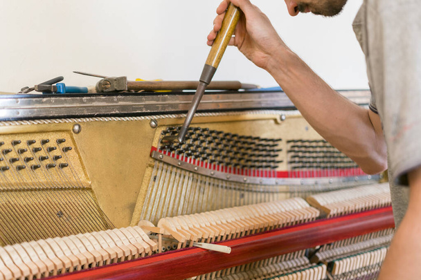 Piano tuning process. closeup of hand and tools of tuner working on grand piano. Detailed view of Upright Piano during a tuning. toned. - Photo, Image