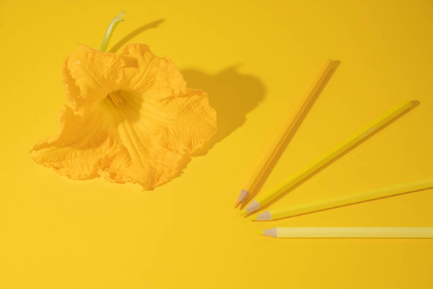 A closeup composition of a pretty yellow flower and wooden pencils on the same color background - Foto, Bild