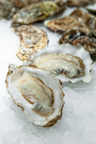 A vertical shot of Chilean oysters on ice in a freezer with a blurry background - Foto, Imagen