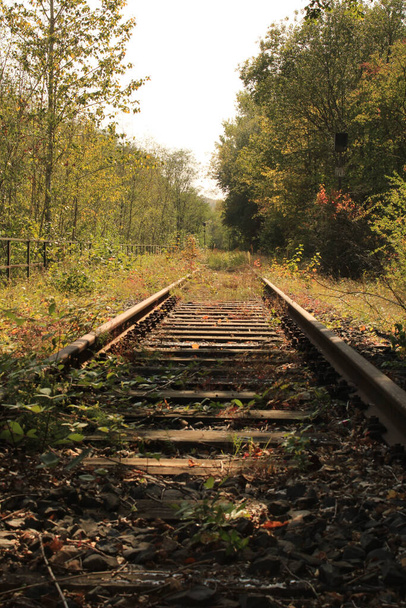 A vertical shot of a railroad and a field - Фото, зображення
