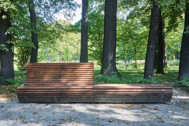 A wooden bench in a park covered in greenery under the sunlight at daytime - Photo, image