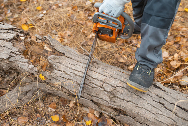 A closeup of a lumberjack with a chainsaw in a forest - Fotoğraf, Görsel