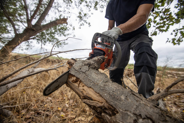A closeup of a lumberjack with a chainsaw in a forest - Foto, Imagem