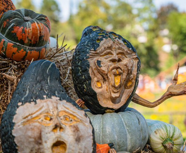 The decorative Halloween pumpkin figurines with funny faces - 写真・画像