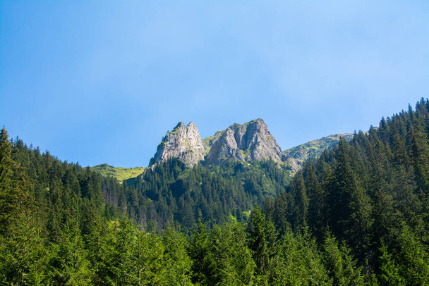 A beautiful shot of the Piatra Caprei peaks of the Fagaras Mountains in Romania - Photo, image