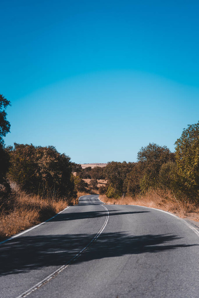 A vertical shot of an empty road on a sunny day - Fotó, kép